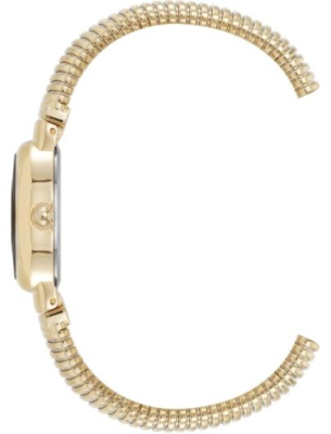 Часы наручные Anne Klein AK/5178GPST