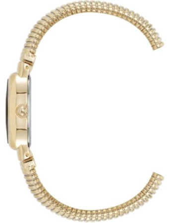 Часы наручные Anne Klein AK/5178GPST