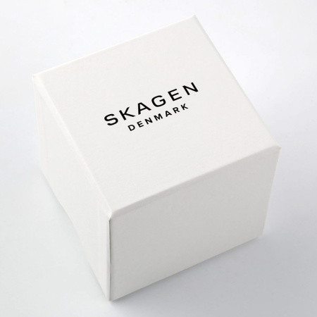 Часы наручные Skagen SKW2665 