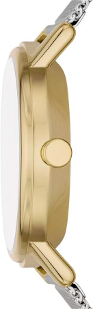 Часы наручные Skagen SKW3101