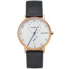 Часы наручные Skagen SKW6390