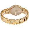 Наручные часы Anne Klein AK/3710PKGB Наручные часы Anne Klein AK/3710PKGB