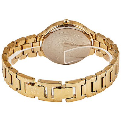 Наручные часы Anne Klein AK/3710PKGB