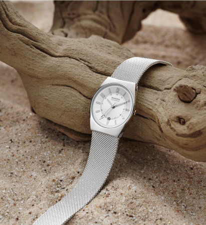 Часы наручные Skagen SKW3038