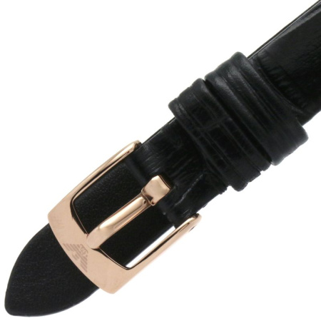 Часы наручные Emporio Armani AR11356