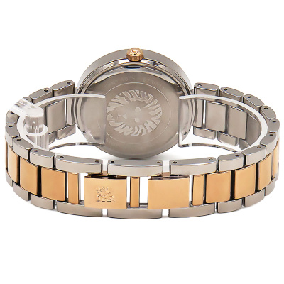 Часы наручные Anne Klein AK/1363SVRT