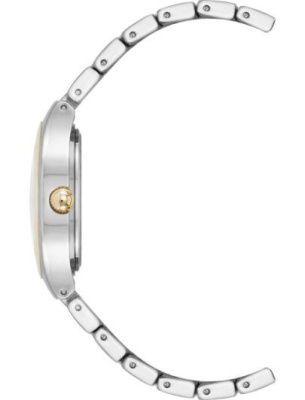 Часы наручные Anne Klein AK/5133SVTT