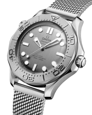 Часы наручные Omega 21030422006002  