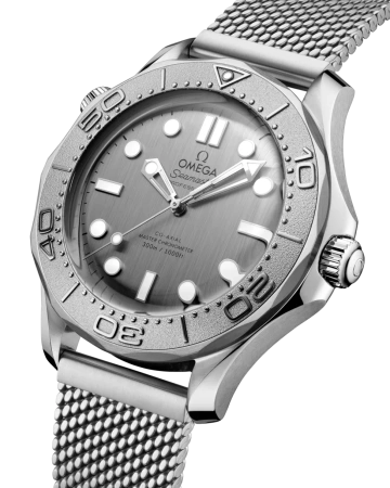 Часы наручные Omega 21030422006002  