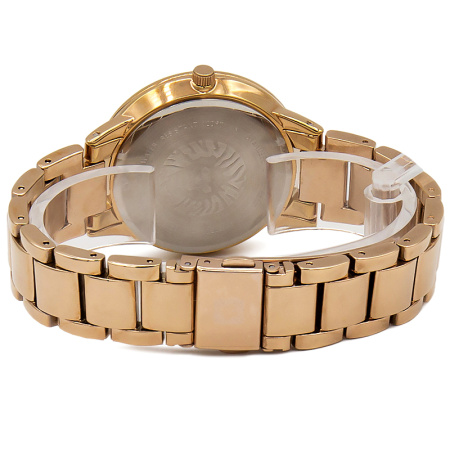 Часы наручные Anne Klein AK/3750NMRG