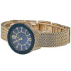 Часы наручные Anne Klein AK/2208NVGB