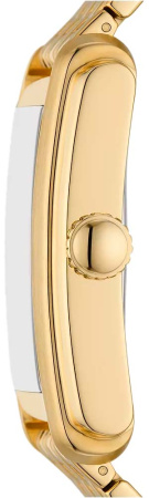 Часы наручные Fossil FS6009