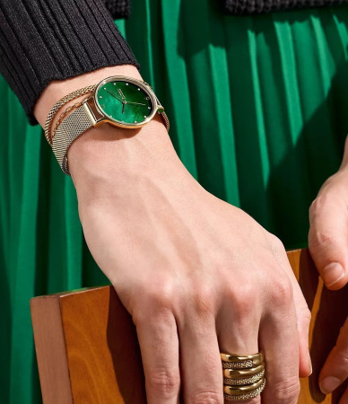 Часы наручные Skagen SKW3145 Часы наручные Skagen SKW3145