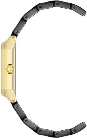 Часы наручные Anne Klein AK/4034GPBK