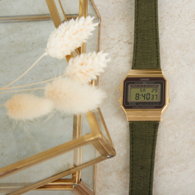 Часы наручные Casio A700WEGL-3AEF