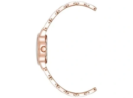 Часы наручные Anne Klein AK/5104BMRG Часы наручные Anne Klein AK/5104BMRG