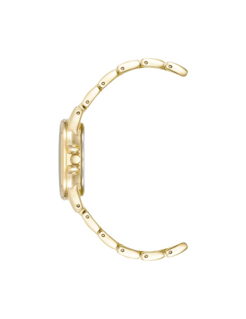 Часы наручные Anne Klein AK/4132PYGB