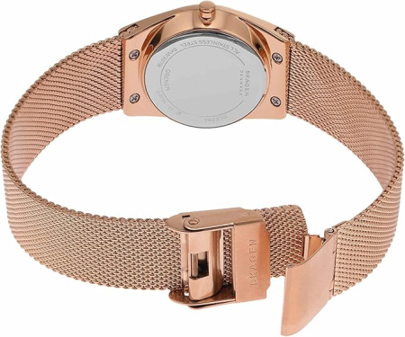 Часы наручные Skagen SKW3078 Часы наручные Skagen SKW3078