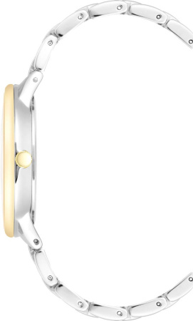 Часы наручные Anne Klein AK/3877SVTT