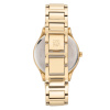 Часы наручные Anne Klein AK/3416BKGB