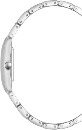 Часы наручные Anne Klein AK/5115SVSV