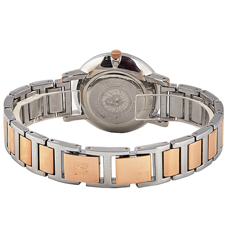 Часы наручные Anne Klein AK/3279SVRT