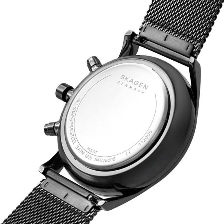 Часы наручные Skagen SKW6608