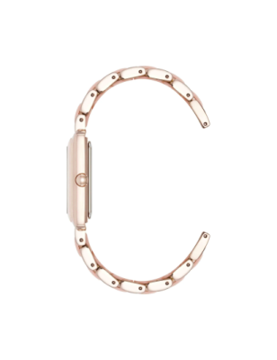 Часы наручные Anne Klein AK/5278RGBH