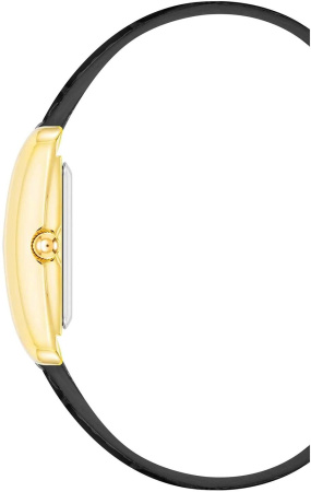 Часы наручные Anne Klein AK/5056GPBK