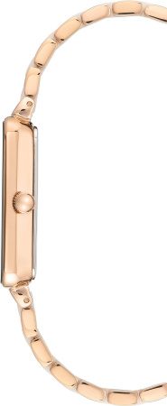 Часы наручные Anne Klein AK/3668LPRG 