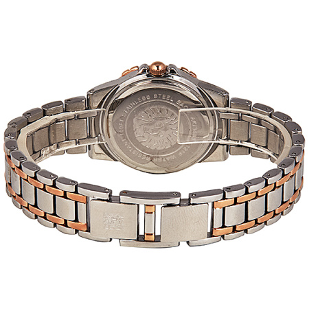 Часы наручные Anne Klein AK/3483SVRT