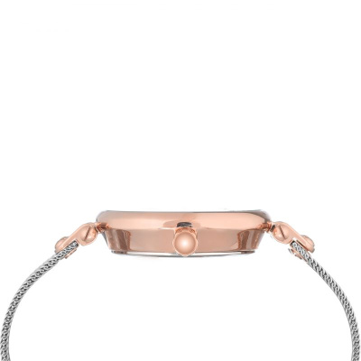 Часы наручные Anne Klein AK/3001SVRT