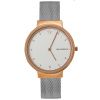 Часы наручные Skagen SKW2616
