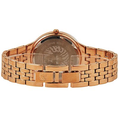 Часы наручные Anne Klein AK/3816MPRG