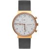 Часы наручные Skagen SKW6371
