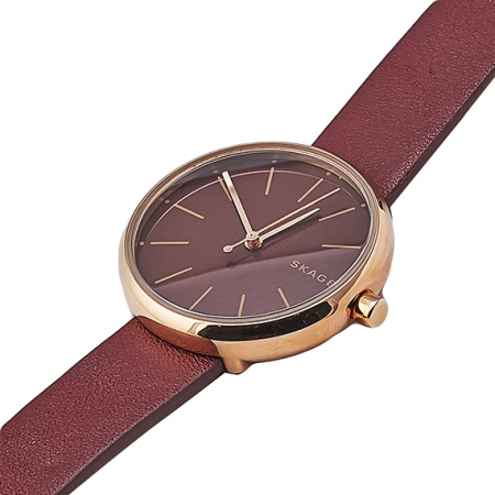 Часы наручные Skagen SKW2646