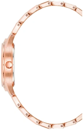 Часы наручные AK/4060RGRG