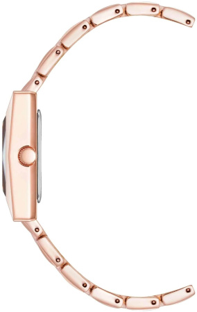 Часы наручные Anne Klein AK/5072RGRG