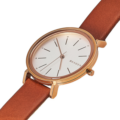 Часы наручные Skagen SKW2488