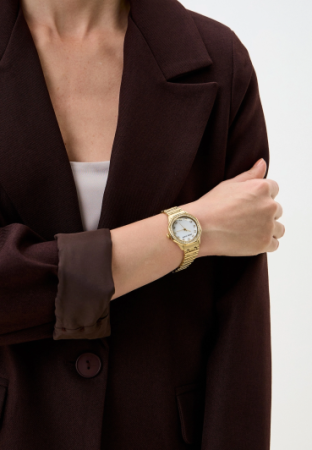 Часы наручные Anne Klein AK/5028MPGB