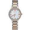 Часы наручные Anne Klein AK/3385MPRT