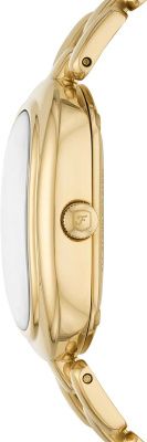 Часы наручные Fossil ES5380 Часы наручные Fossil ES5380