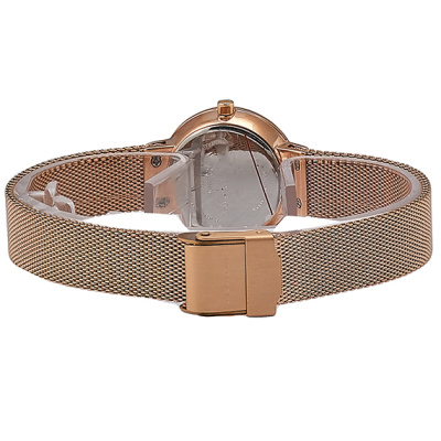 Часы наручные Skagen 456SRR1