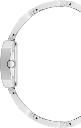 Часы наручные Anne Klein AK/4149MPSV