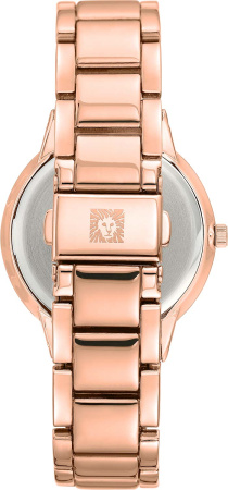 Часы наручные Anne Klein AK/3750RGRG