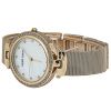Часы наручные Anne Klein AK/2972MPGB