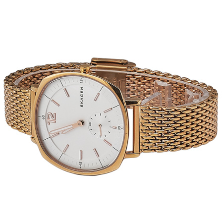 Часы наручные Skagen SKW2401