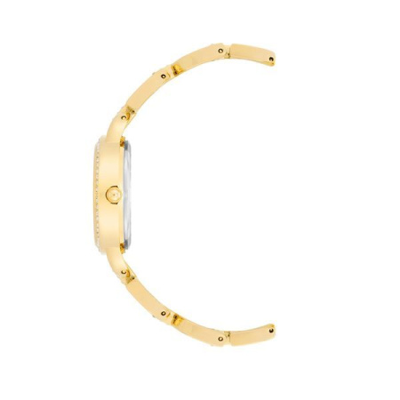 Часы наручные Anne Klein AK/4104GPST