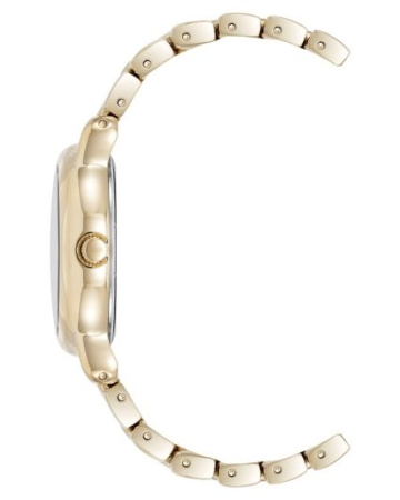 Часы наручные Anne Klein AK/5234CHGB