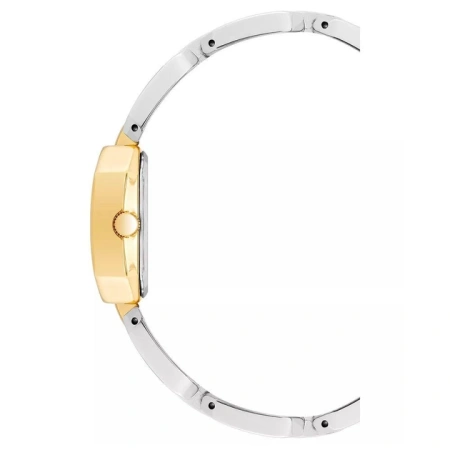 Часы наручные Anne Klein AK/4149SVTT